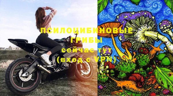 сатива Арсеньев