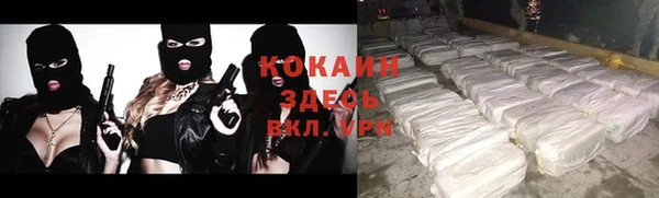 сатива Арсеньев