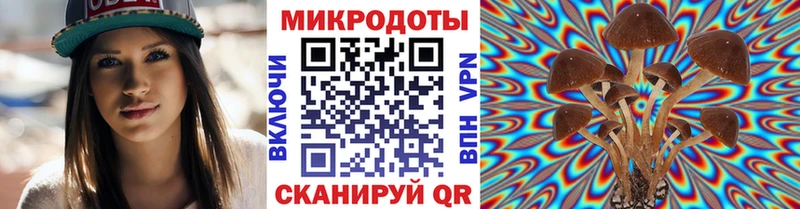 Галлюциногенные грибы прущие грибы  Ртищево 